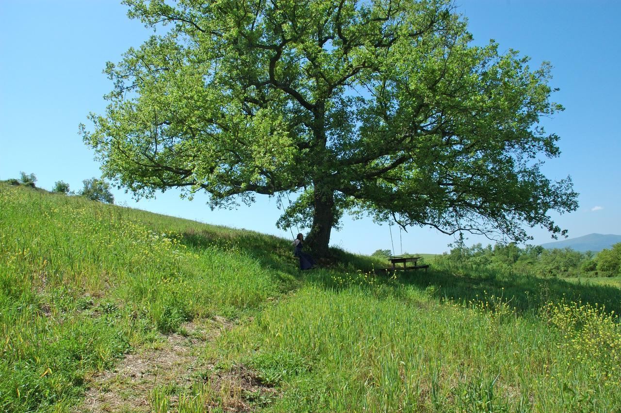Podere Santa Maria Monte Antico Zewnętrze zdjęcie